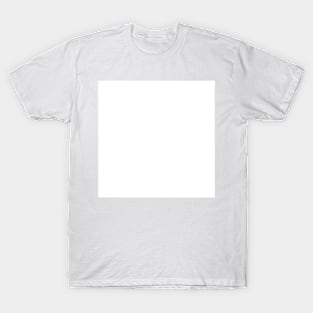 The plain white T-Shirt